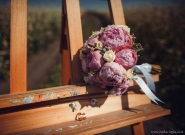 Still life photo